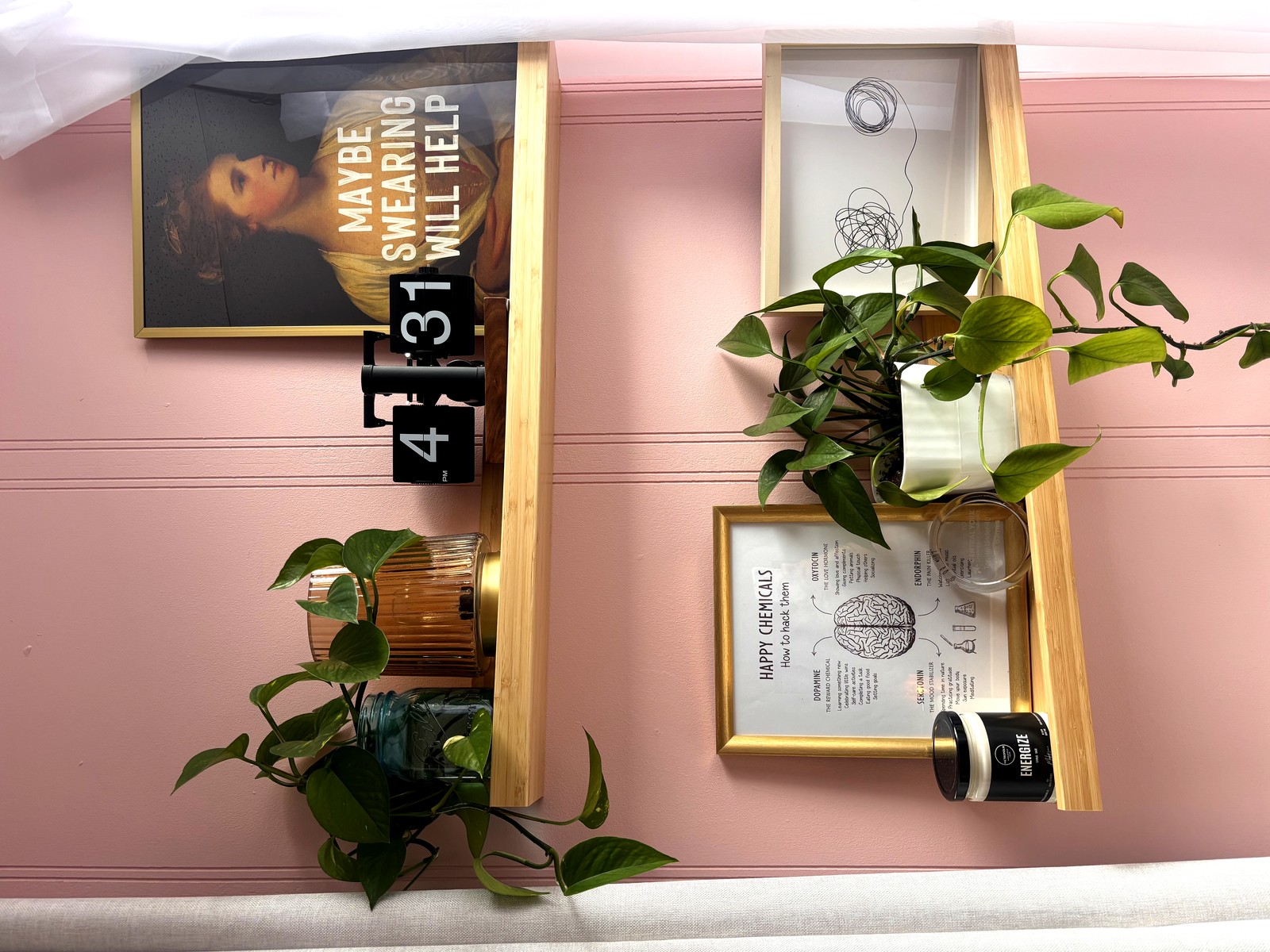 Ontario Therapy office detail — shelves, plants